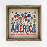America Flowers & Butterflies
