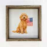 Golden Doodle American