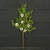 19" Bush Angel Vine Pick
