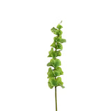 Bells of Ireland Stem