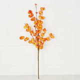 Orange Boxwood Leaves