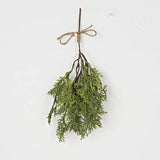 Soft Touch Evergreen Bundle