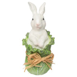 6.75 Bunny in Cabbage