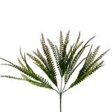Button Leaf Grass