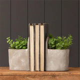 Cement Planter