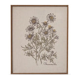 Chamomile Wall Art