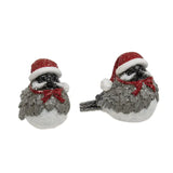 Santa Hat Birds