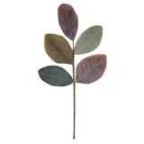 Cypress Magnolia Pick