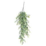 Dusty Mini Eucalyptus Hanging Bush