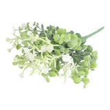 Eucalyptus and Baby Breath