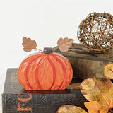 Squatty Pumpkin