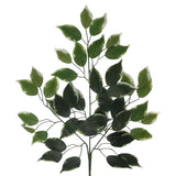 23" Silk Ficus Leaf Spray
