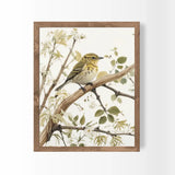 9X11 Fluffy Bird Wall Art