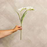 White Freesia Spray