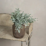 15" Frosted Mistletoe Bush