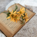 Gold Daisy Pick