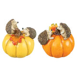 Harvest Hedgehogs