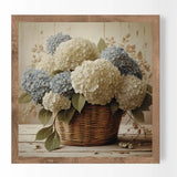 Medium Blue/White Hydrangea