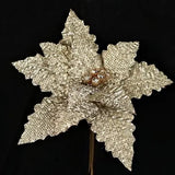 28" Iced Glazed Poinsettia-Champagne