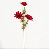 Red Dahlia w/ Leaves
