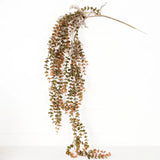 4ft Dripping Eucalyptus