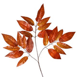 Long Leaf Spray