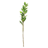 Lush Green Laurel Spray