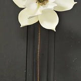 10" Real Magnolia