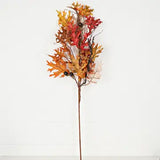 Maple & Acorn Branch