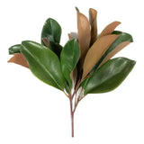 16" Magnolia Leaf spray