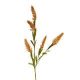 Orange Millet Spray