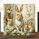 5X5 Bunny Trio