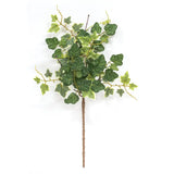 Mixed Ivy & Vine Spray