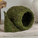 Moss Snail