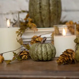 Short Olive Green Pumpkin