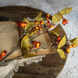 Orange Rose Hips Spray