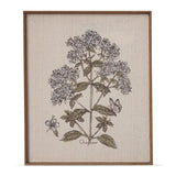 Oregano Wall Art