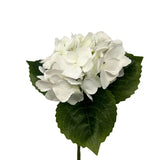13" Petite White Hydrangea