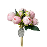 Pink Peony Bundle