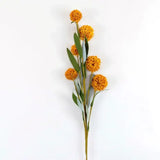 Pom Pom Spray