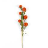 Pom Pom Spray
