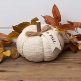 Cream Knit Fabric Pumpkin-Sm