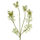 32" Queen Anne's Lace