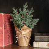 12" Icy Pine & Berries in a Pot