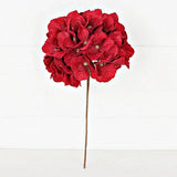 Red Hydrangea
