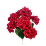 Red Geranium Bush