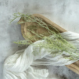 34" Wispy Green Asparagus Spray