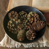 Pinecone & Moss Bowl Filler
