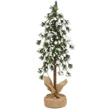 Snowy Mini Ming Pine Tree