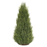 Glittered Long Needle Cone Tree